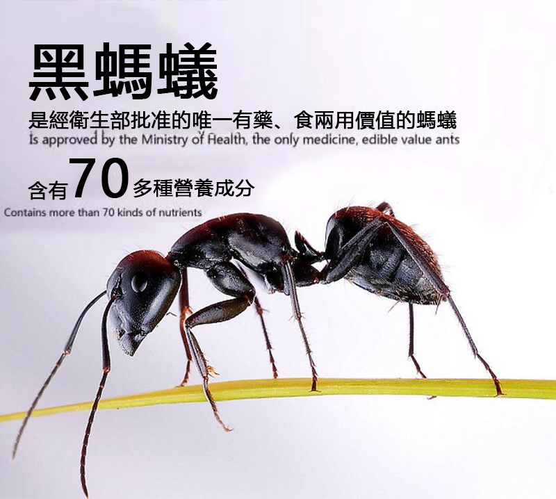 「德國黑螞蟻」生精片,香港進口24片盒中老年服用保養